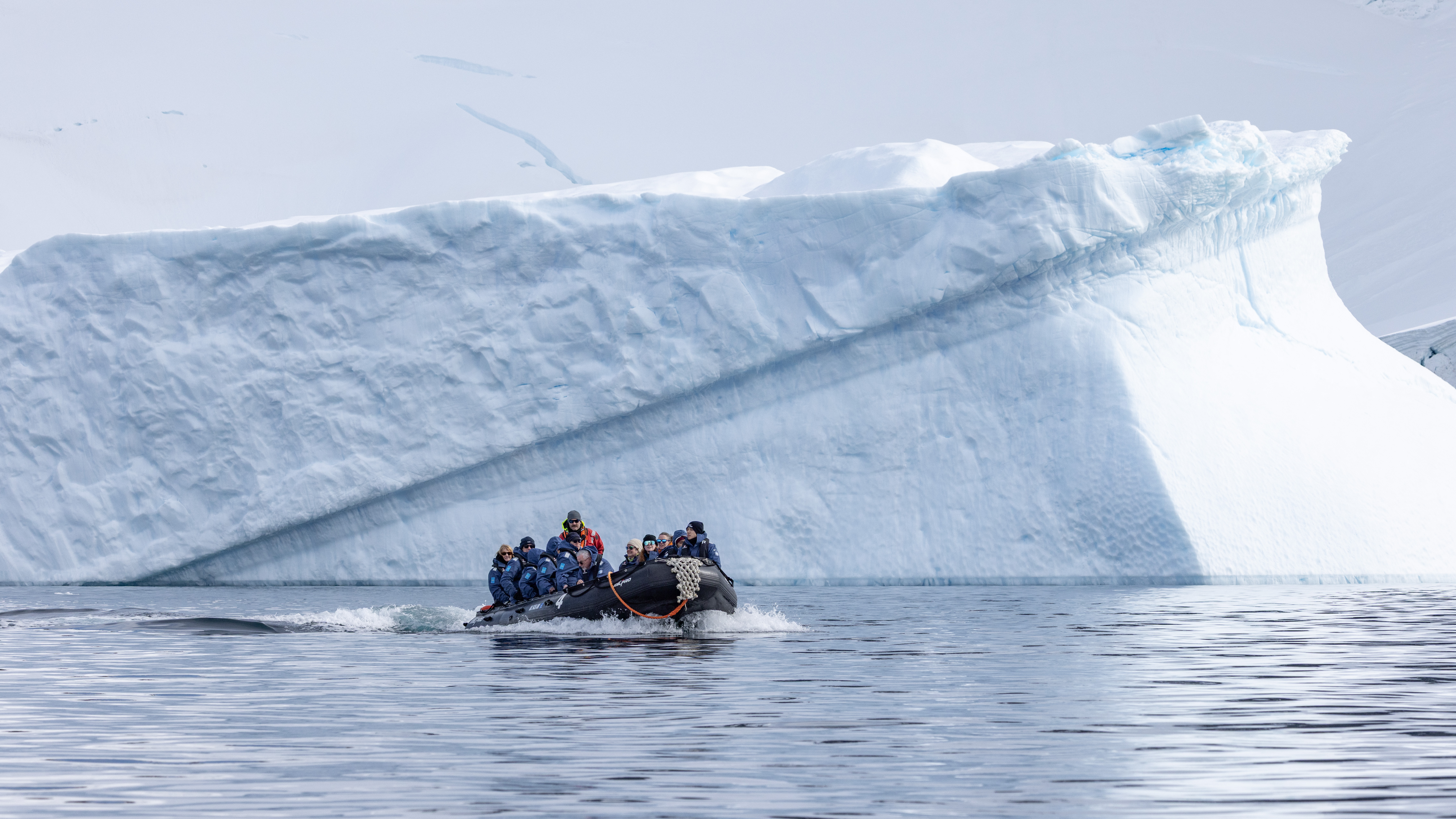 Keep a lookout for animals, coastal landscapes – or icebergs